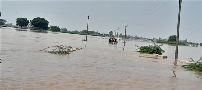 THOUSANDS OF ACRES OF LAND INUNDATED, CROPS DESTROYED