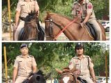 PANCHKULA POLICE HORSES TO PATROL HILLS, NARROW LANES, VILLAGES AND ISOLATED AREAS