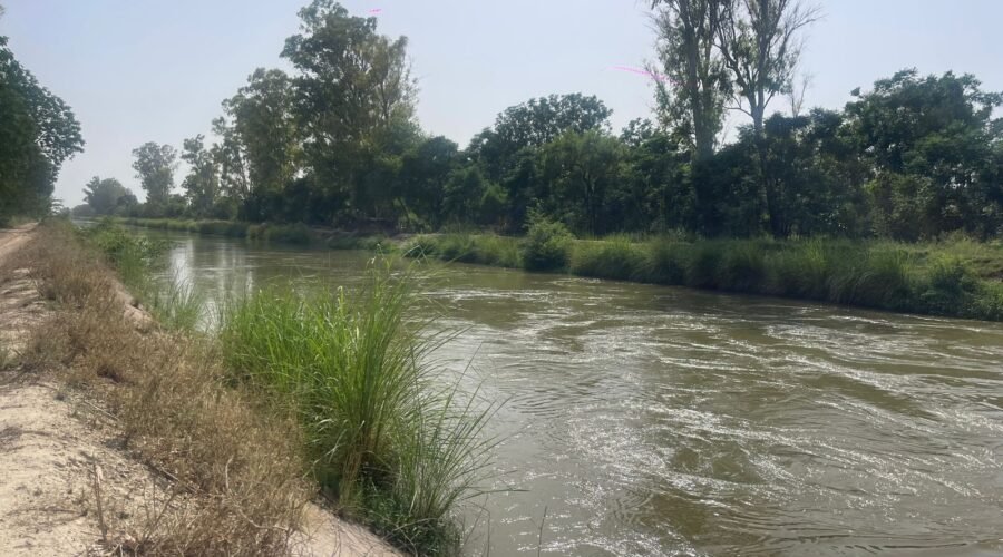 SRI GANGANAGAR FACES IRRIGATION CRISIS: SEVERE WATER SHORTAGE IN GANG CANAL