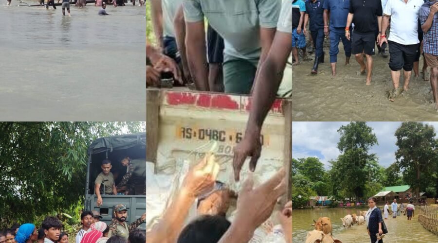 असम की बाढ़: बारिश के साथ नागालैंड में पर्यावरणीय क्षति पर उठे सवाल