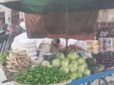LANGUR TURNS ‘SHOPKEEPER’ AT VEGETABLE MARKET
