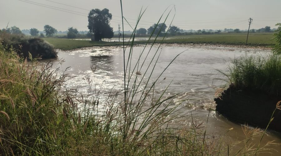 HUNDREDS OF ACRES OF LAND SUBMERGED DUE TO CANAL BREACH