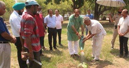 PU ORGANISED PLANTATION DRIVE ON WORLD ENVIRONMENT DAY