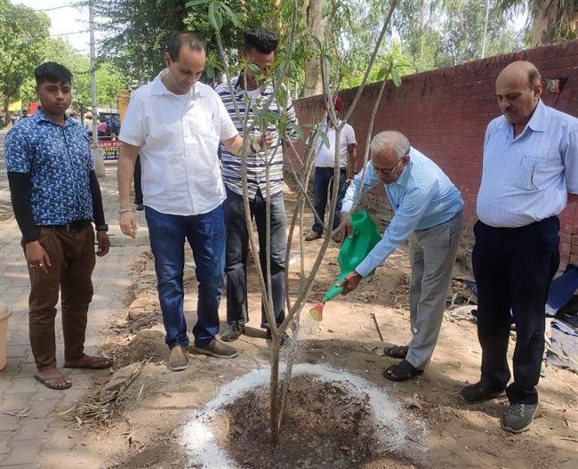 BJP INITIATES PLANTATION DRIVE