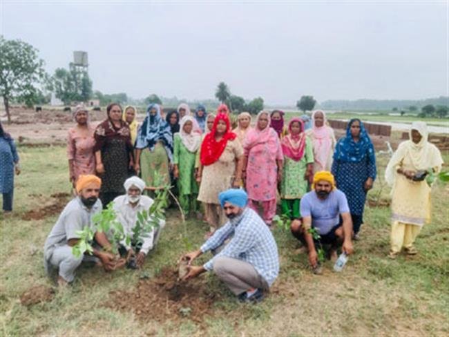 गांव पंचायत ने शुरू किया 10 हजार पौधे लगाने का अभियान