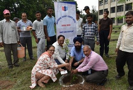 एसबीआई के सहयोग से पीजीजीसी-46 में वन महोत्सव का आयोजन