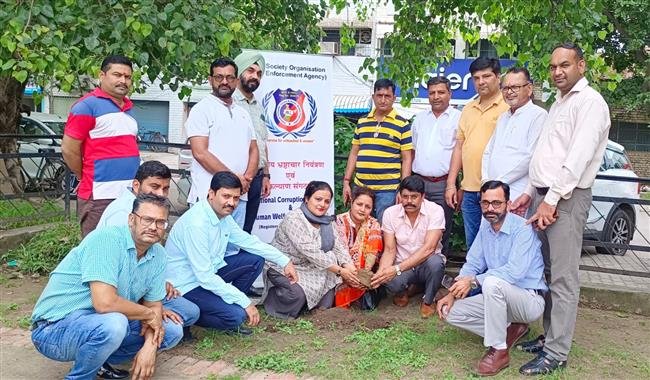 एन.सी.सी.एच.डब्ल्यू चंडीगढ़ की डायरेक्टर ममता शर्मा ने पौधा लगाकर कारगिल में शहीद वीरों को दी श्रद्धांजलि