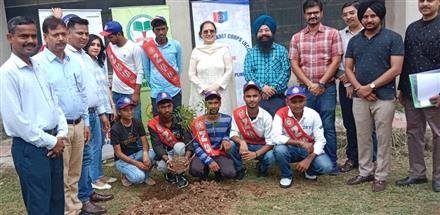 पर्यावरण अध्ययन विभाग ने वन महोत्सव मनाया