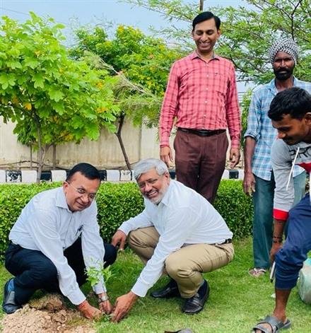 25 SAPLINGS OF SANDALWOODS PLANTED FOR THE CAUSE OF CLEAN ENVIRONMENT