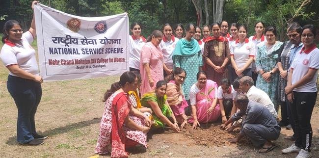 MCM HOLDS PLANTATION DRIVE UNDER MAGIC MELA