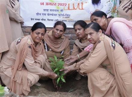 LAKHS OF SAPLINGS PLANTED IN RAJASTHAN