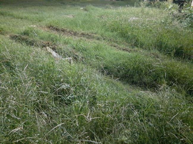 पार्क की हालत खस्ता, नए आए झूले फांक रहे धूल, जगह जगह फैली गंदगी