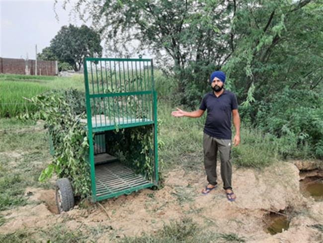 तेंदुए को पकडऩे के लिए वन विभाग की टीम ने लगाया पिंजरा