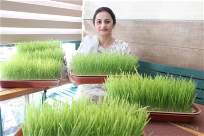 प्राकृतिक खान-पान मानव स्वास्थ्य का बीमारियों से बचाता है