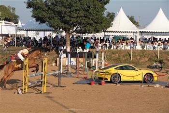 CHANDIGARH HORSE SHOW FROM NOVEMBER 1 TO 7