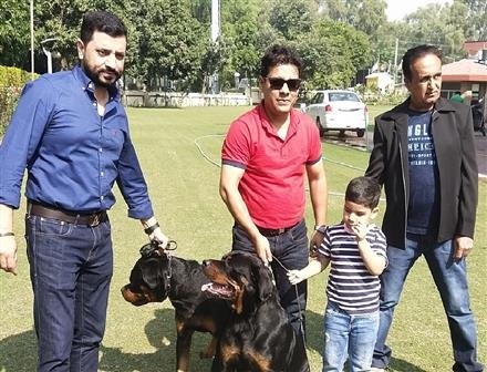 ROYAL KENNEL CLUB TO HOLD A MEGA DOG SHOW IN PANCHKULA ON NOV 5-6