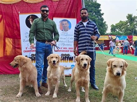 ROYAL KENNEL CLUB'S MEGA DOG SHOW BEGINS IN PANCHKULA