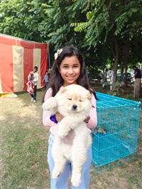 ROYAL KENNEL CLUB'S DOG SHOW CONCLUDES, DUSHYANT CHAUTALA GAVE AWAY PRIZES