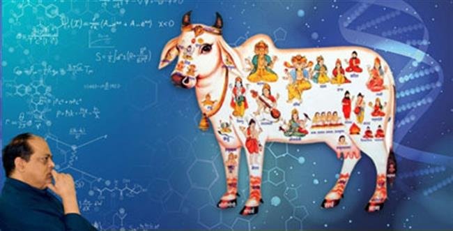 सिर्फ मान्यताएँ ही नहीं, विज्ञान भी कहता है गाय को पवित्र:  मलिकराम