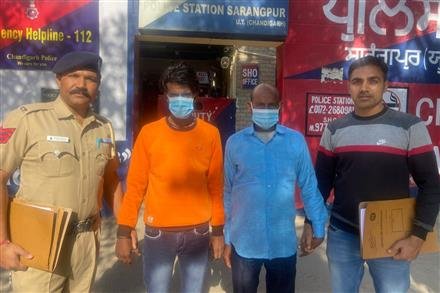 CHANDIGARH PO AND SUMMON CELL NABS TWO PROCLAIMED OFFENDERS , SENT TO JAIL