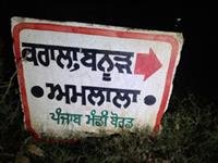 गांव के पास फिर दिखाई दिया तेंदुआ, फैली दहशत