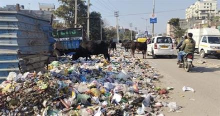हड़ताल से शहर में कूड़े ढेर लगने हुए शुरू, बढ़ने लगी लोगों की समस्या