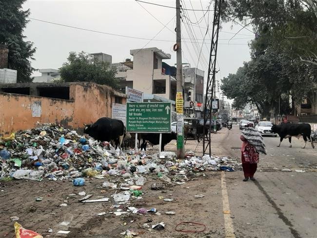 सपना गेटवे ऑफ पंजाब बनाने का, बुनियादी सुविधाओं को तरस रहें हैं लोग