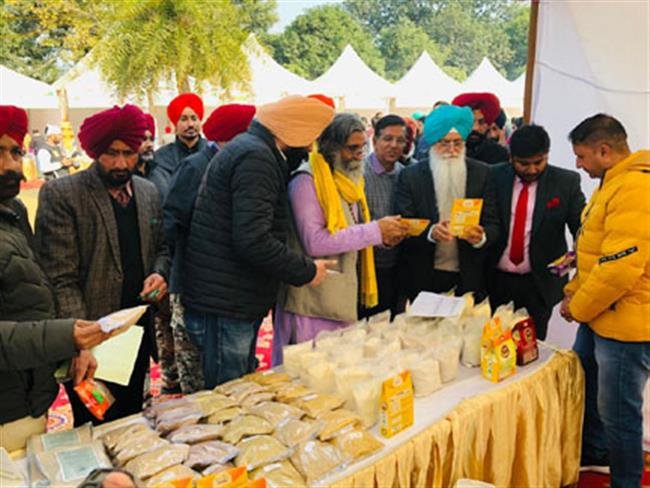 मोटे अनाज की पैदावार शरीर को तंदरुस्त रखने के लिए ज़रूरी