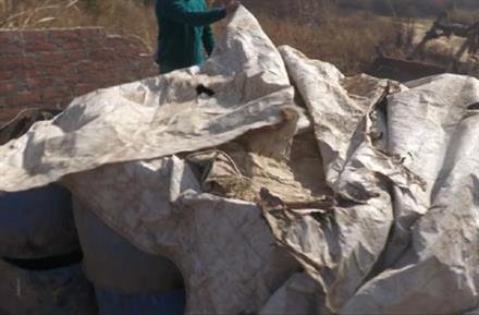 मांस के अवशेष को गांव नींबूआं की पंचायती जमीन पर गिरा कर फैलाई जा रही गंदगी