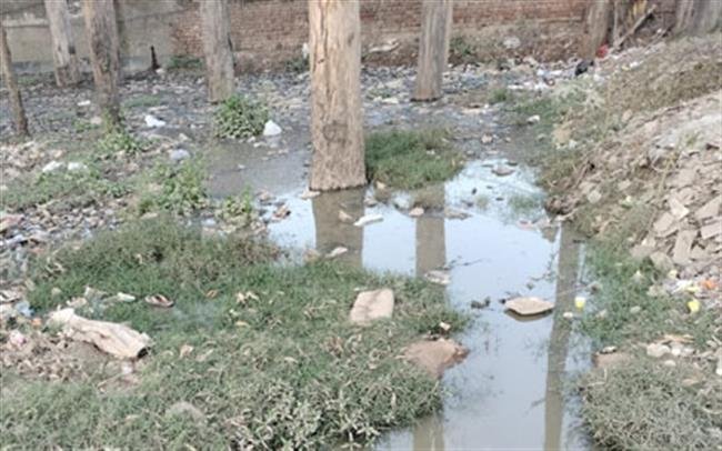 सोसाइटी के लोगों द्वारा सीवरेज पानी छोड़ा खुले में, बीमारियां फैलने के खतरा