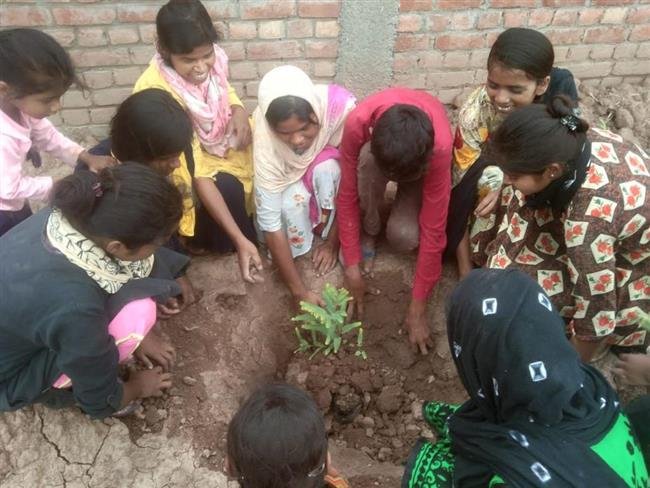 PLANTATION DRIVE ORGANISED BY ASHISH MITTAL FOUNDATION