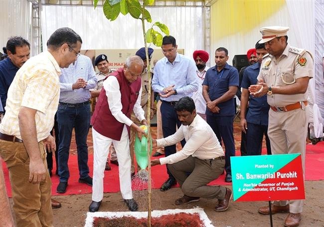 MERI MAATI MERA DESH:  FORESTS  DEPTT. ORGANIZED A TREE PLANTING PROGRAMME AND CREATED ‘VASUDHA VANDAN’