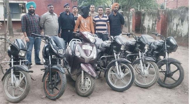 CHANDIGARH POLICE NABS ACCUSED OF THEFT,  HALF DOZEN TWO WHEELERS RECOVERED