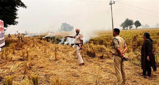 जगह-जगह खेतों में पराली को लगी आग बुझाने पहुंचे अधिकारी
