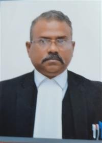 विश्व क्रिकेट कप: संभावित जीत के जशन पर पाबंदियों का प्रबल विरोध