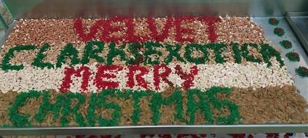 THE CAKE MIXING CEREMONY HELD AT VELVET CLARKS EXOTICA ZIRAKPUR