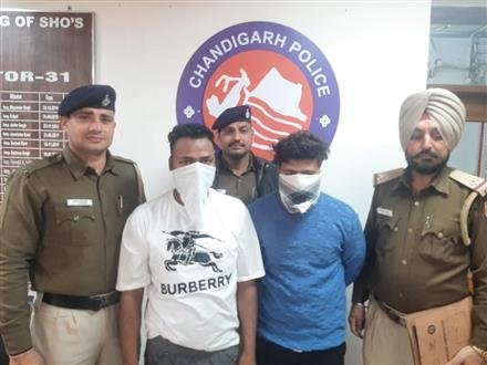 CHANDIGARH SECTOR 31 POLICE NABS TWO DRUG ADDICTS  WANTED IN CRIMINAL CASES