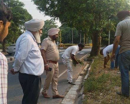 CHANDIGARH ENGINEERING DEPATT. INITIATES CANNABIS ERADICATION EXERCISE IN COMPLIANCE WITH HIGH COURT ORDERS