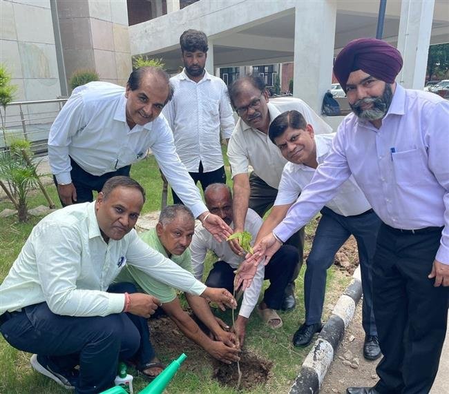 CHANDIGARH COLLEGE OF ENGINEERING AND TECHNOLOGY ORGANIZED TREE PLANTATION DRIVE