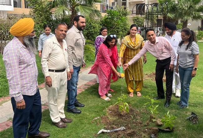 पौधे हैं तो हम है” एन. ए. कल्चरल सोसायटी ने लगाया पौधें का लंगर और किया पौधारोपन