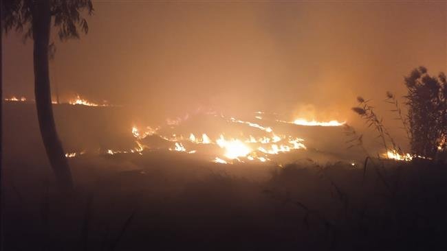 पर्यावरण विभाग के अधिकारियों ने किया सीमावर्ती क्षेत्रों का दौरा, पाकिस्तान सीमा से आ रहे भारी धुएं को देखा