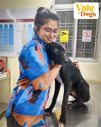 BUILD A KINDER WORLD, ONE PAW AT A TIME -TEJASWINI GULATI (PSYCHOLOGIST):