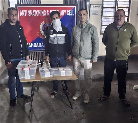 DELHI POLICE BUSTED MAJOR CRICKET BETTING RACKET: BOOKIE APPREHENDED WITH HIGH-TECH SETUP