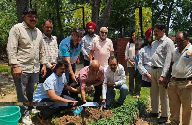 आयुष्मान आरोग्य मंदिर, सेक्टर 37 में मेडिसिनल प्लांट्स रौपे गए