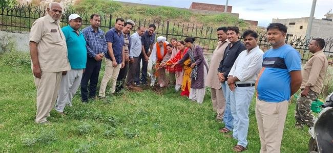 80वें जन्मदिन पर 80 पौधे लगाकर दिया पर्यावरण को बचाने का संदेश