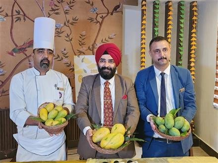 ‘GO MAN-GO’ FESTIVAL KICKS OFF AT VELVET CLARKS EXOTICA, ZIRAKPUR – CHANDIGARH