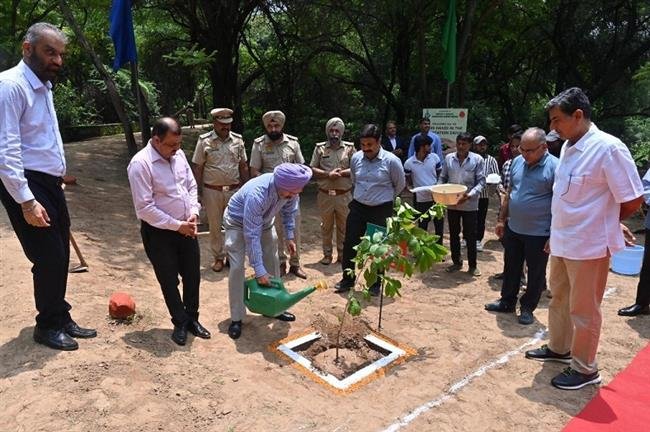 CHIEF JUSTICE LEADS PLANTATION DRIVE UNDER “EK PED MAA KE NAAM” INITIATIVE IN CHANDIGARH