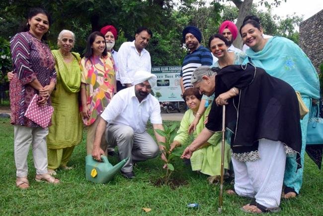 TREE PLANTATION BY LIONS CLUB CHANDIGARH HOST