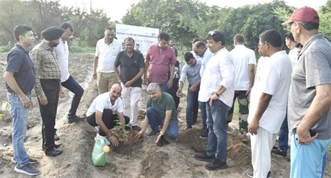 ROTARY CLUB, BSF COLLABORATE FOR MASSIVE TREE PLANTATION DRIVE