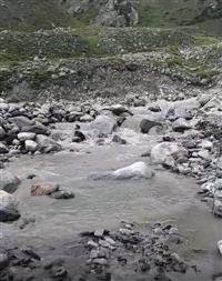 बादल फटने से काशंग नैहर ध्वस्त, थम गई पांच गांव की सिंचाई व्यवस्था